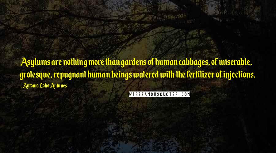Antonio Lobo Antunes Quotes: Asylums are nothing more than gardens of human cabbages, of miserable, grotesque, repugnant human beings watered with the fertilizer of injections.