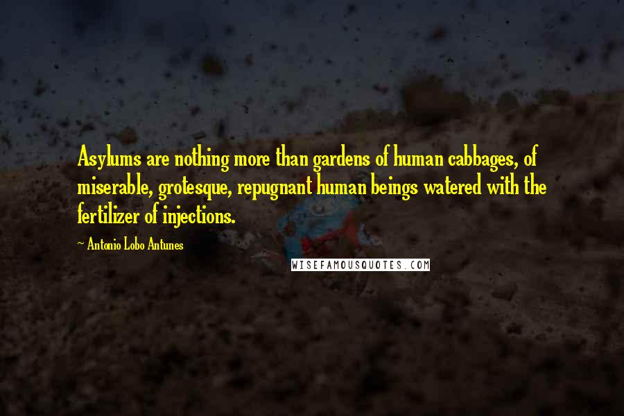 Antonio Lobo Antunes Quotes: Asylums are nothing more than gardens of human cabbages, of miserable, grotesque, repugnant human beings watered with the fertilizer of injections.