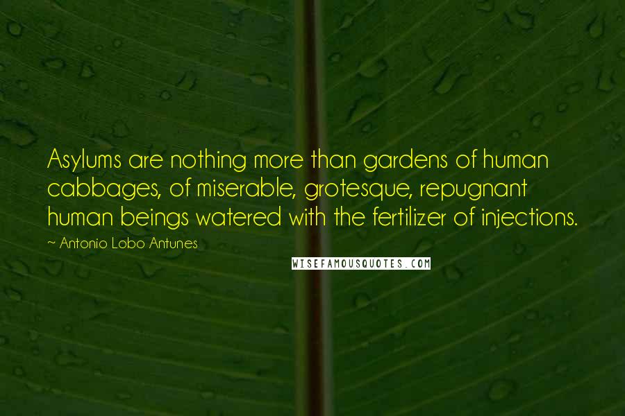 Antonio Lobo Antunes Quotes: Asylums are nothing more than gardens of human cabbages, of miserable, grotesque, repugnant human beings watered with the fertilizer of injections.