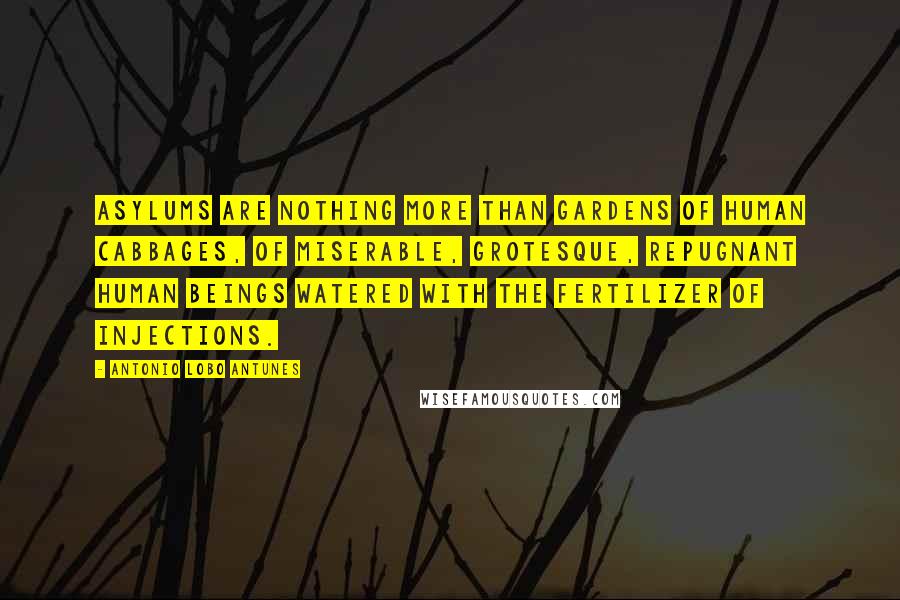 Antonio Lobo Antunes Quotes: Asylums are nothing more than gardens of human cabbages, of miserable, grotesque, repugnant human beings watered with the fertilizer of injections.