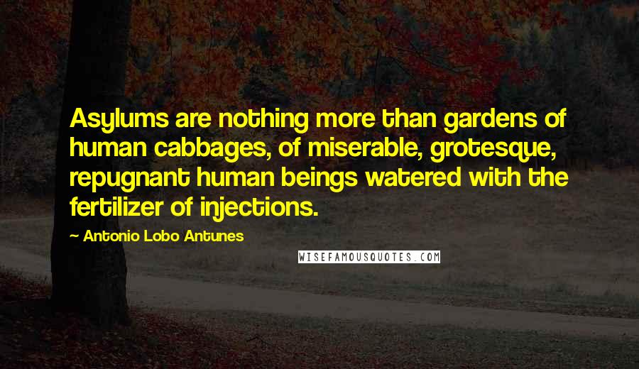 Antonio Lobo Antunes Quotes: Asylums are nothing more than gardens of human cabbages, of miserable, grotesque, repugnant human beings watered with the fertilizer of injections.