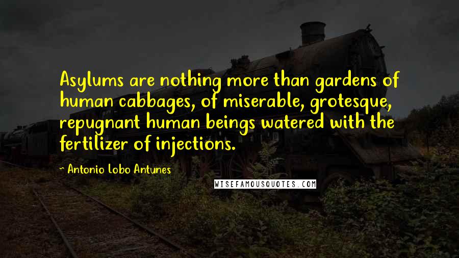 Antonio Lobo Antunes Quotes: Asylums are nothing more than gardens of human cabbages, of miserable, grotesque, repugnant human beings watered with the fertilizer of injections.