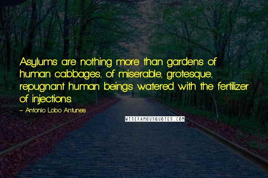 Antonio Lobo Antunes Quotes: Asylums are nothing more than gardens of human cabbages, of miserable, grotesque, repugnant human beings watered with the fertilizer of injections.
