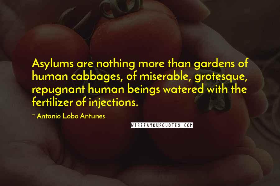 Antonio Lobo Antunes Quotes: Asylums are nothing more than gardens of human cabbages, of miserable, grotesque, repugnant human beings watered with the fertilizer of injections.