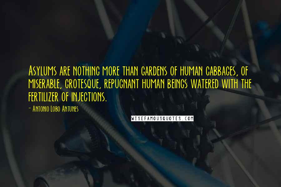 Antonio Lobo Antunes Quotes: Asylums are nothing more than gardens of human cabbages, of miserable, grotesque, repugnant human beings watered with the fertilizer of injections.