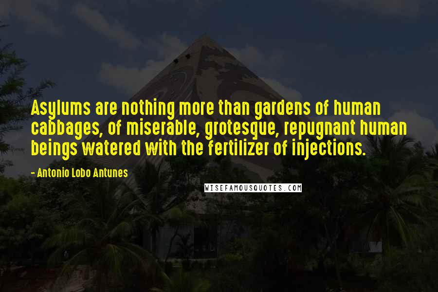 Antonio Lobo Antunes Quotes: Asylums are nothing more than gardens of human cabbages, of miserable, grotesque, repugnant human beings watered with the fertilizer of injections.