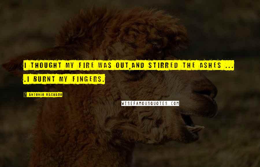 Antonio Machado Quotes: I thought my fire was out,and stirred the ashes ... .I burnt my fingers.