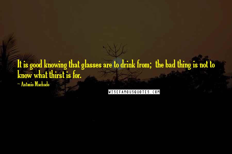 Antonio Machado Quotes: It is good knowing that glasses are to drink from; the bad thing is not to know what thirst is for.