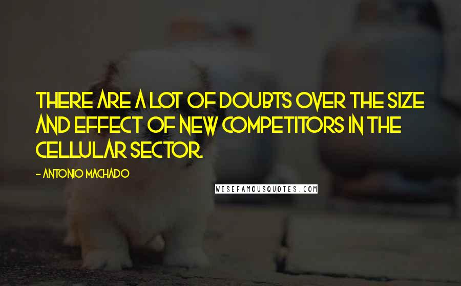 Antonio Machado Quotes: There are a lot of doubts over the size and effect of new competitors in the cellular sector.