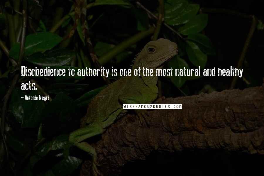 Antonio Negri Quotes: Disobedience to authority is one of the most natural and healthy acts.