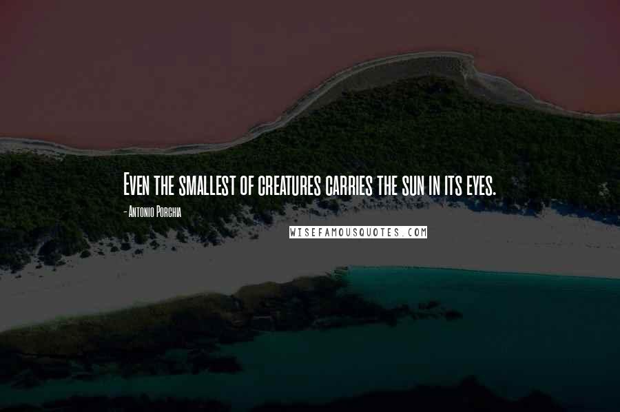 Antonio Porchia Quotes: Even the smallest of creatures carries the sun in its eyes.