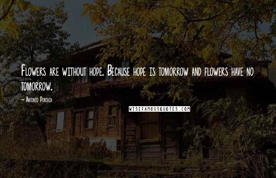 Antonio Porchia Quotes: Flowers are without hope. Because hope is tomorrow and flowers have no tomorrow.