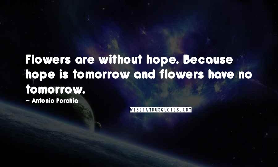 Antonio Porchia Quotes: Flowers are without hope. Because hope is tomorrow and flowers have no tomorrow.