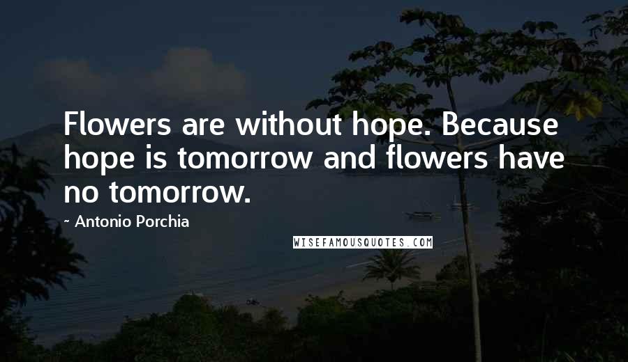 Antonio Porchia Quotes: Flowers are without hope. Because hope is tomorrow and flowers have no tomorrow.