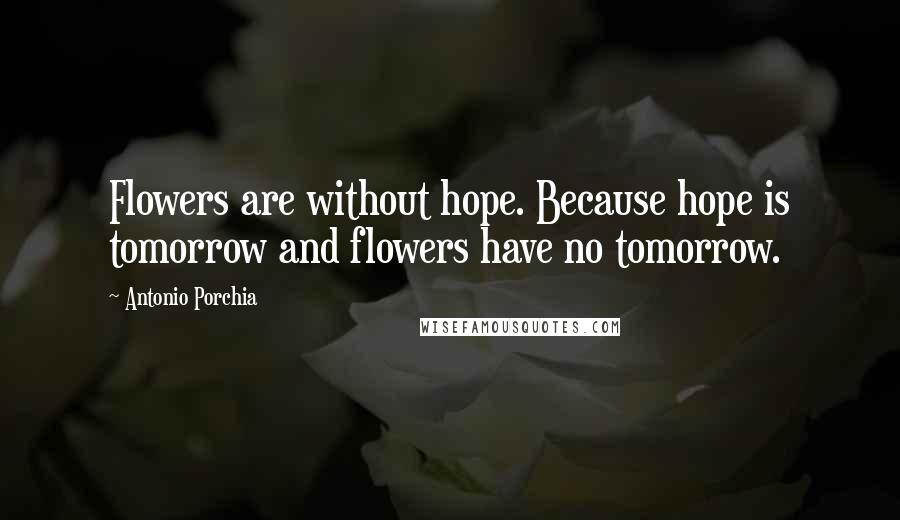 Antonio Porchia Quotes: Flowers are without hope. Because hope is tomorrow and flowers have no tomorrow.