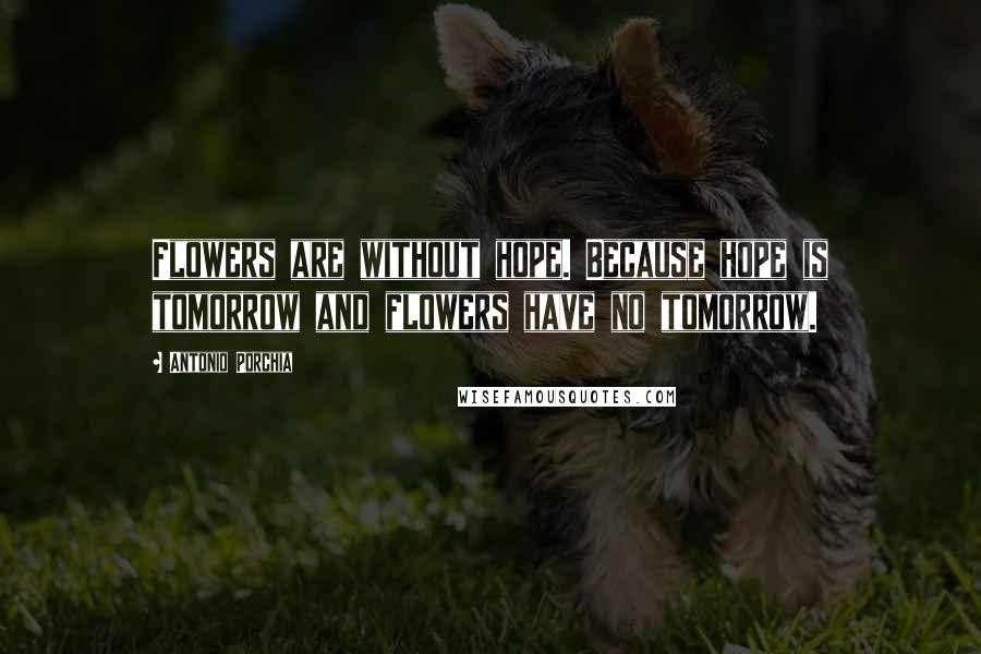 Antonio Porchia Quotes: Flowers are without hope. Because hope is tomorrow and flowers have no tomorrow.