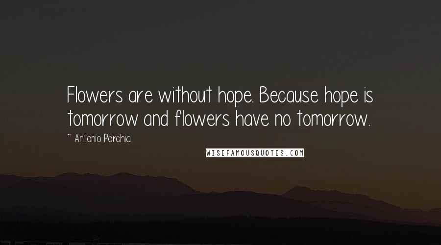 Antonio Porchia Quotes: Flowers are without hope. Because hope is tomorrow and flowers have no tomorrow.