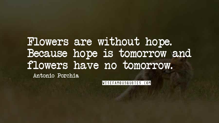 Antonio Porchia Quotes: Flowers are without hope. Because hope is tomorrow and flowers have no tomorrow.