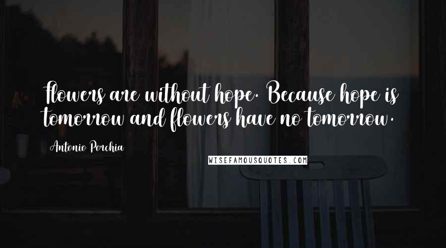 Antonio Porchia Quotes: Flowers are without hope. Because hope is tomorrow and flowers have no tomorrow.