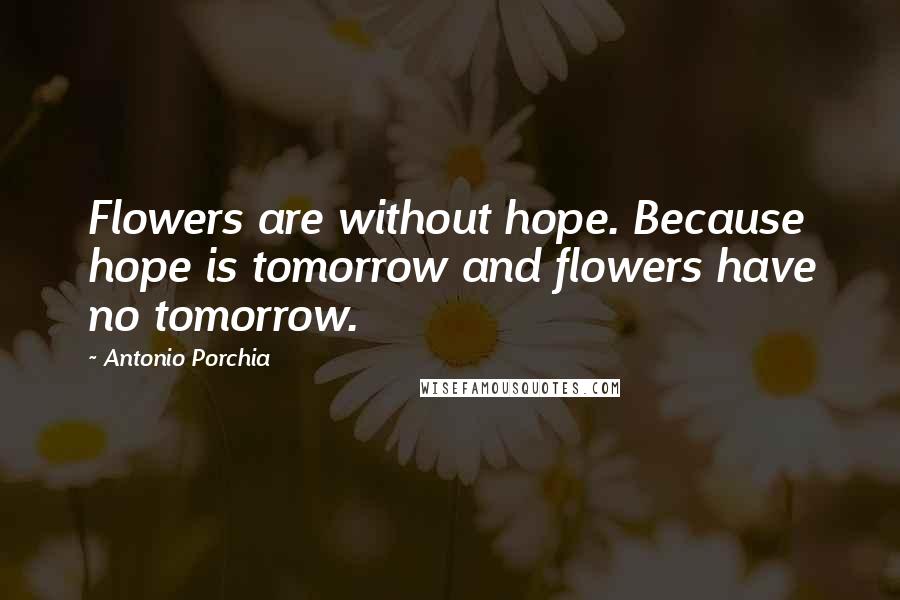 Antonio Porchia Quotes: Flowers are without hope. Because hope is tomorrow and flowers have no tomorrow.