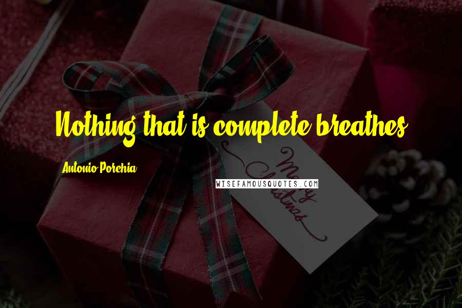 Antonio Porchia Quotes: Nothing that is complete breathes