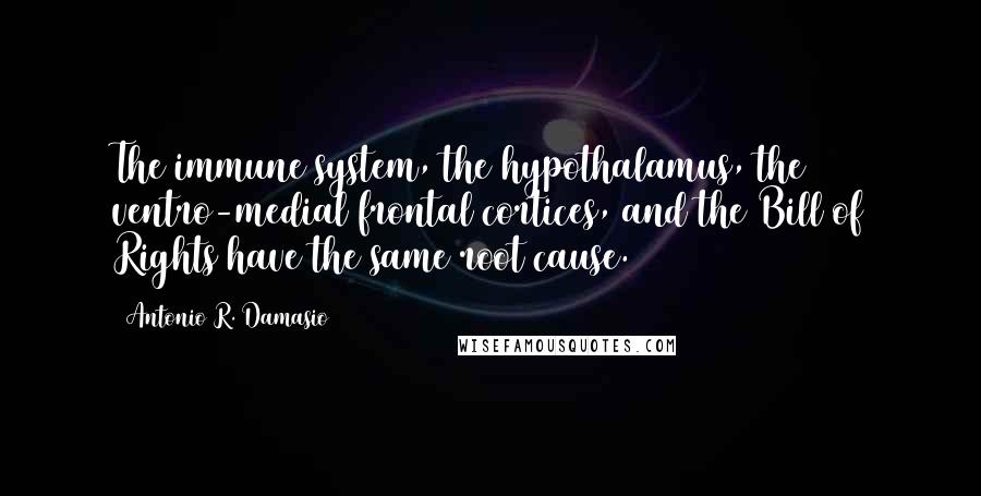 Antonio R. Damasio Quotes: The immune system, the hypothalamus, the ventro-medial frontal cortices, and the Bill of Rights have the same root cause.