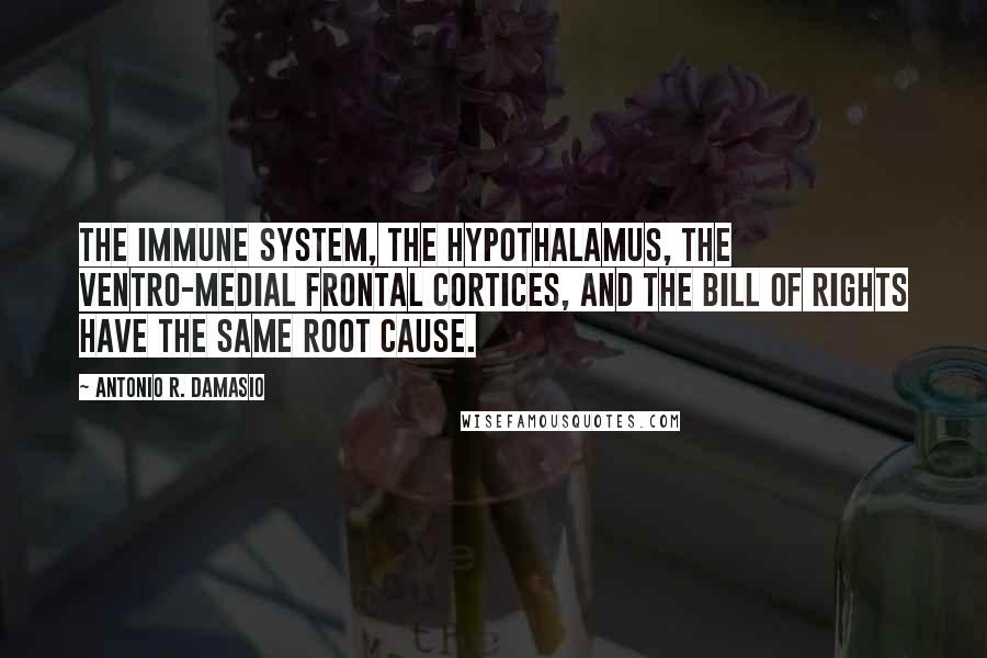 Antonio R. Damasio Quotes: The immune system, the hypothalamus, the ventro-medial frontal cortices, and the Bill of Rights have the same root cause.