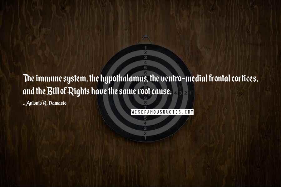 Antonio R. Damasio Quotes: The immune system, the hypothalamus, the ventro-medial frontal cortices, and the Bill of Rights have the same root cause.