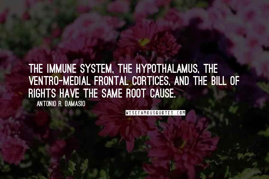 Antonio R. Damasio Quotes: The immune system, the hypothalamus, the ventro-medial frontal cortices, and the Bill of Rights have the same root cause.