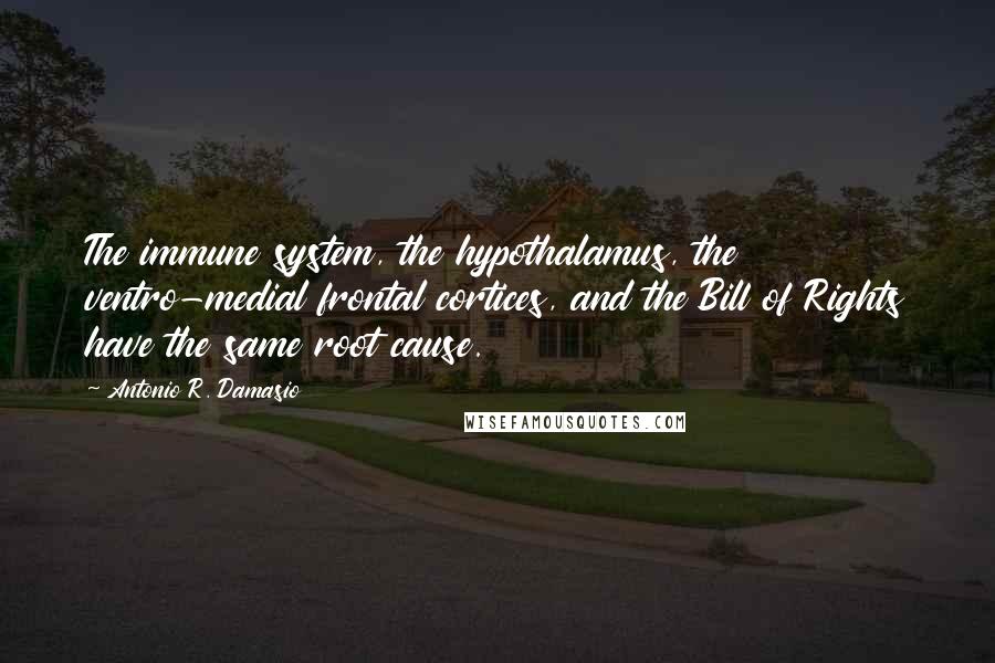 Antonio R. Damasio Quotes: The immune system, the hypothalamus, the ventro-medial frontal cortices, and the Bill of Rights have the same root cause.