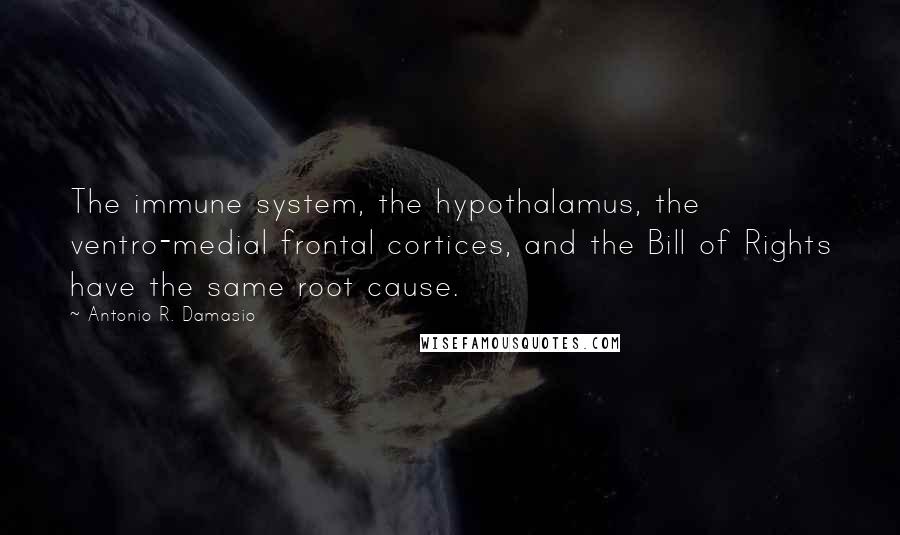 Antonio R. Damasio Quotes: The immune system, the hypothalamus, the ventro-medial frontal cortices, and the Bill of Rights have the same root cause.