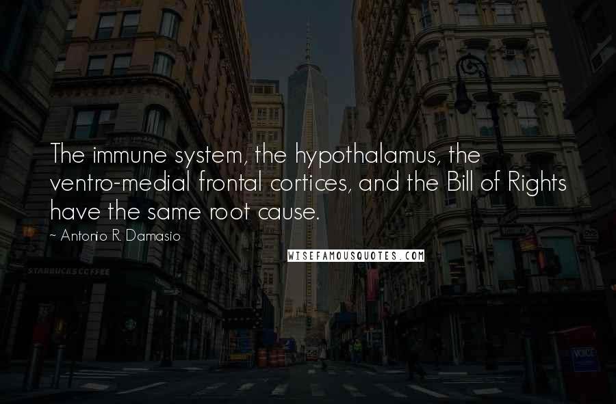 Antonio R. Damasio Quotes: The immune system, the hypothalamus, the ventro-medial frontal cortices, and the Bill of Rights have the same root cause.