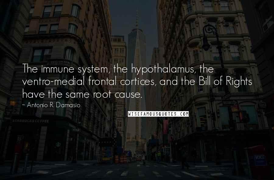 Antonio R. Damasio Quotes: The immune system, the hypothalamus, the ventro-medial frontal cortices, and the Bill of Rights have the same root cause.