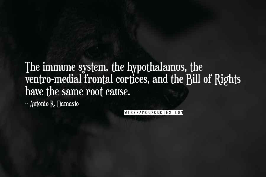 Antonio R. Damasio Quotes: The immune system, the hypothalamus, the ventro-medial frontal cortices, and the Bill of Rights have the same root cause.