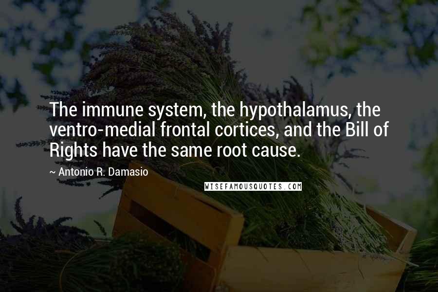 Antonio R. Damasio Quotes: The immune system, the hypothalamus, the ventro-medial frontal cortices, and the Bill of Rights have the same root cause.