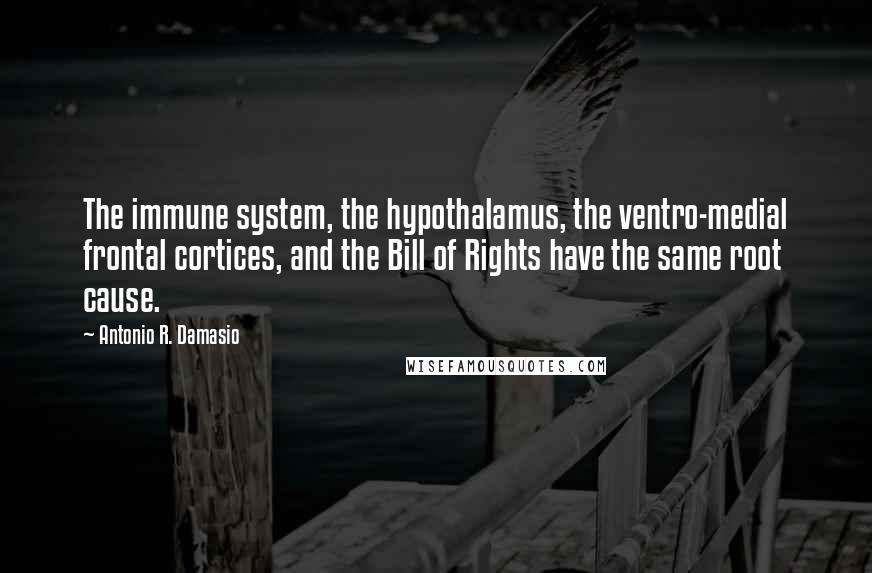 Antonio R. Damasio Quotes: The immune system, the hypothalamus, the ventro-medial frontal cortices, and the Bill of Rights have the same root cause.