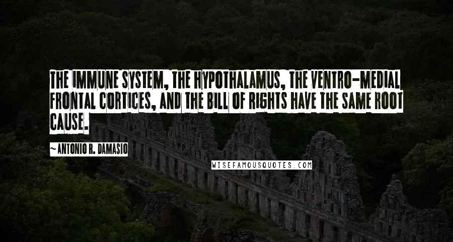 Antonio R. Damasio Quotes: The immune system, the hypothalamus, the ventro-medial frontal cortices, and the Bill of Rights have the same root cause.