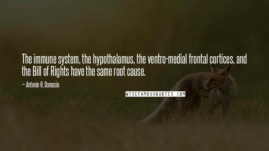 Antonio R. Damasio Quotes: The immune system, the hypothalamus, the ventro-medial frontal cortices, and the Bill of Rights have the same root cause.