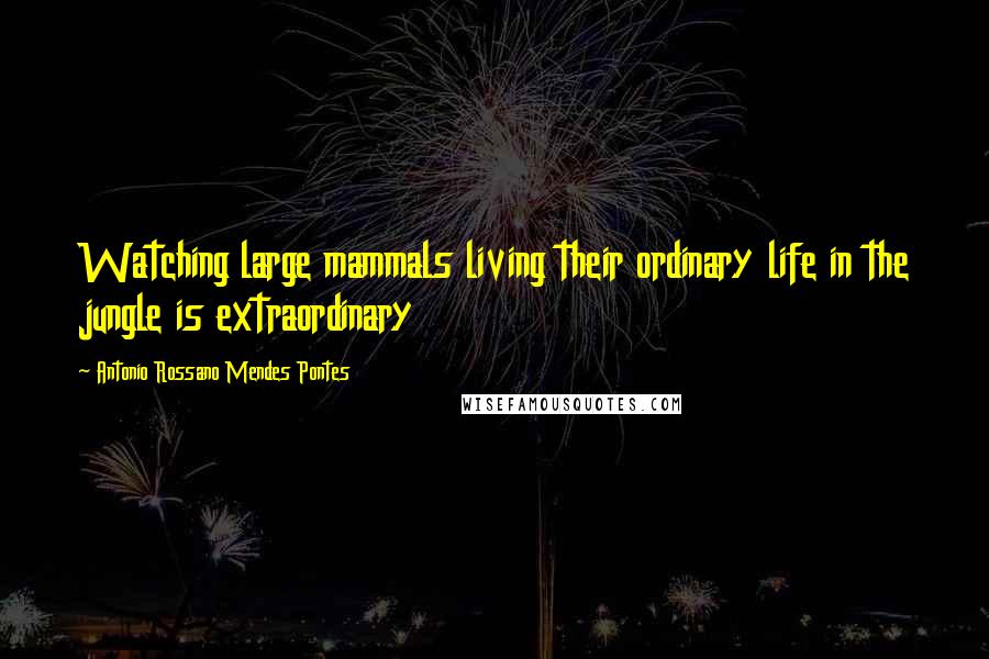 Antonio Rossano Mendes Pontes Quotes: Watching large mammals living their ordinary life in the jungle is extraordinary