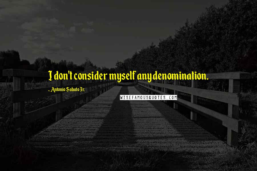 Antonio Sabato Jr. Quotes: I don't consider myself any denomination.