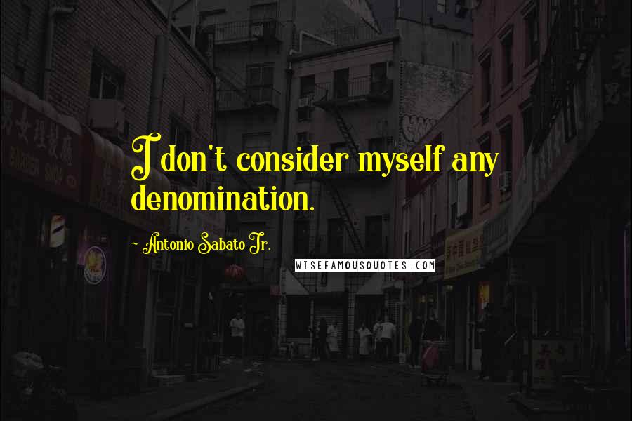 Antonio Sabato Jr. Quotes: I don't consider myself any denomination.