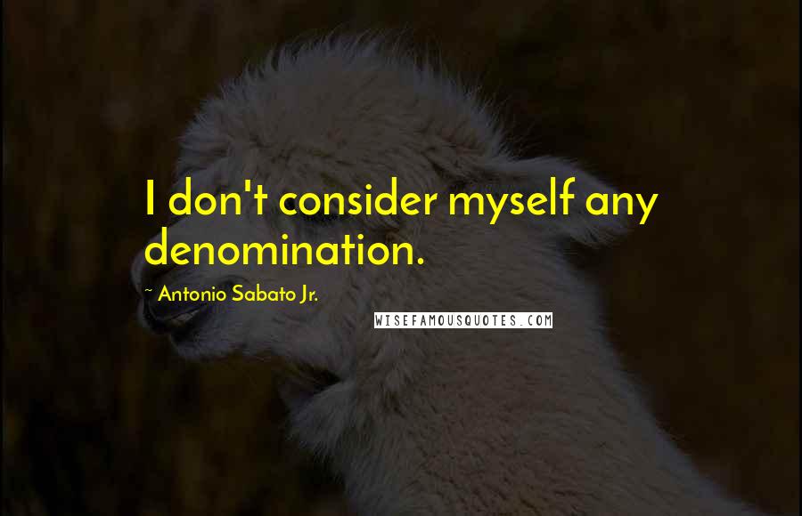 Antonio Sabato Jr. Quotes: I don't consider myself any denomination.