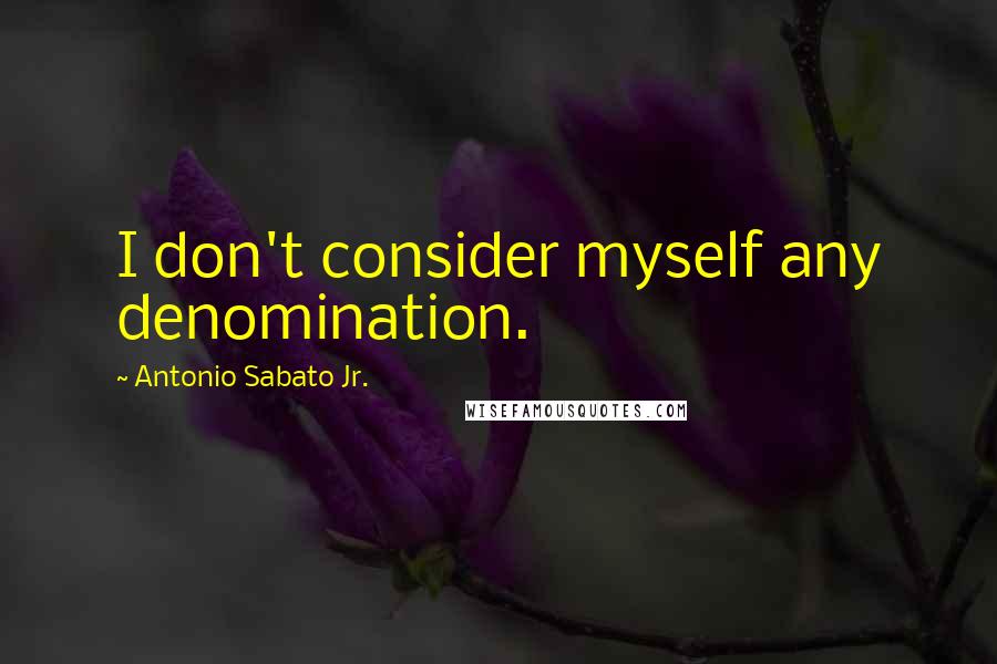 Antonio Sabato Jr. Quotes: I don't consider myself any denomination.