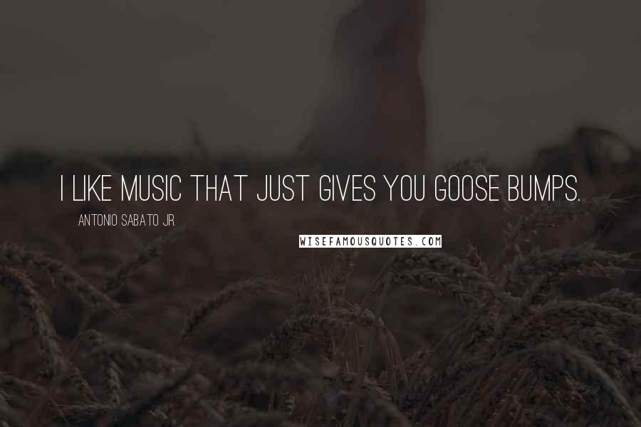 Antonio Sabato Jr. Quotes: I like music that just gives you goose bumps.