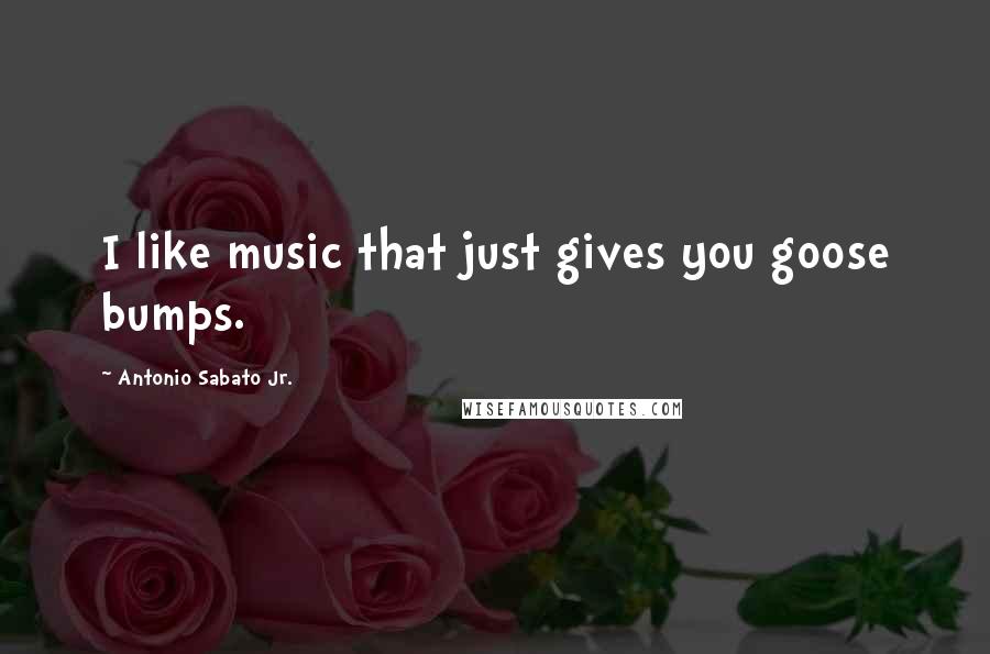 Antonio Sabato Jr. Quotes: I like music that just gives you goose bumps.