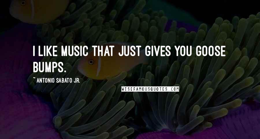 Antonio Sabato Jr. Quotes: I like music that just gives you goose bumps.