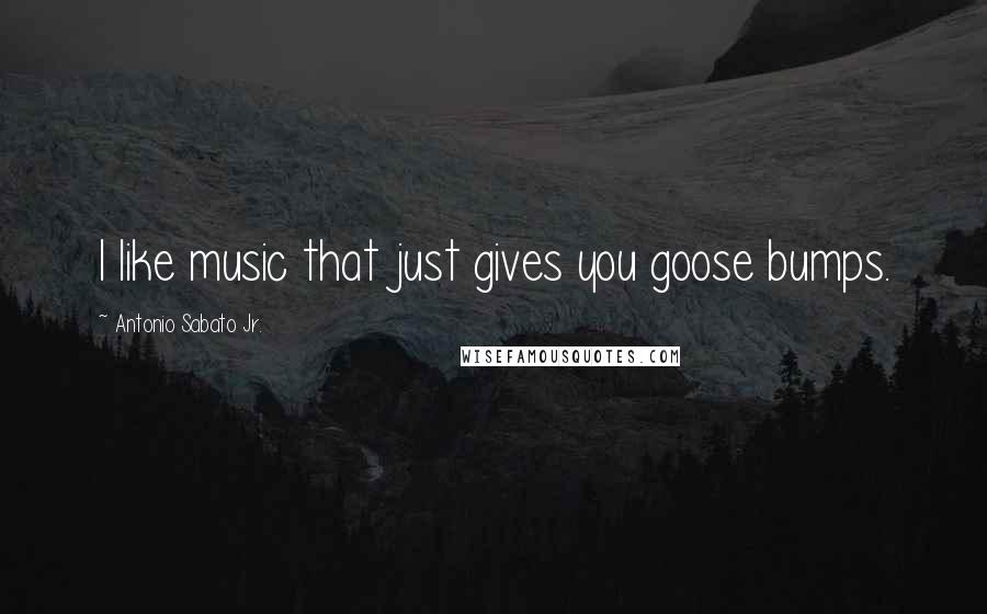 Antonio Sabato Jr. Quotes: I like music that just gives you goose bumps.