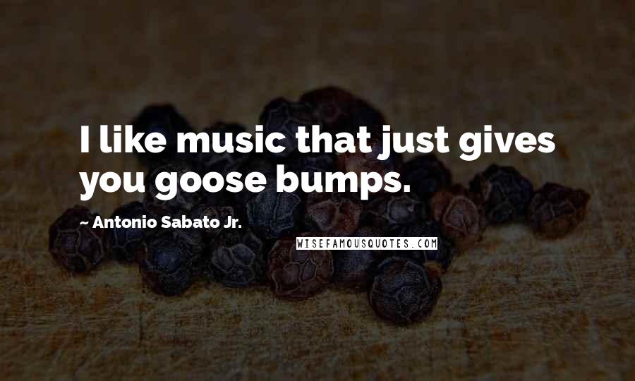 Antonio Sabato Jr. Quotes: I like music that just gives you goose bumps.