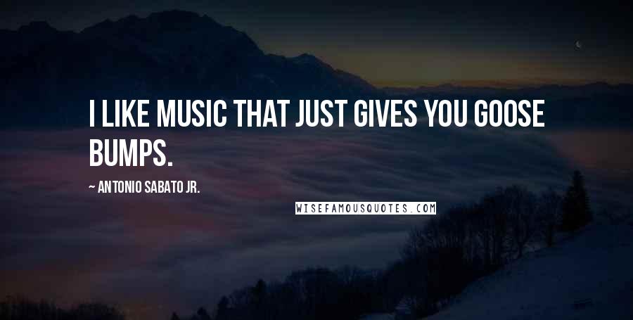 Antonio Sabato Jr. Quotes: I like music that just gives you goose bumps.