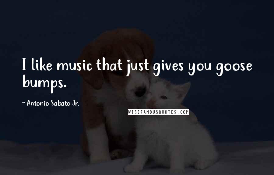 Antonio Sabato Jr. Quotes: I like music that just gives you goose bumps.